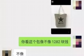 汉中为什么选择专业追讨公司来处理您的债务纠纷？